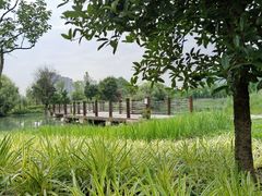 -贵阳市花溪国家城市湿地公园