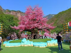 -河南宝泉旅游区