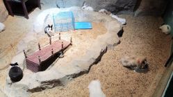 -酷嗒动物文化乐园(cutezoo西溪乐天城店)