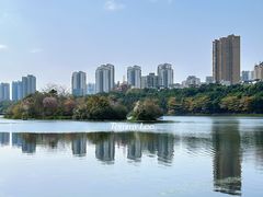 -南宁南湖公园