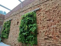 景观位-Old House