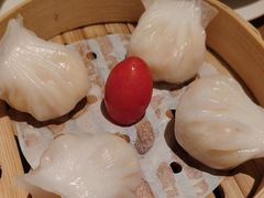 -茶港·点心·啫啫煲(群光广场店)