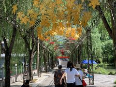 -沕沕水生态风景区