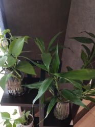 -香秀空间科技抗衰·美容中心