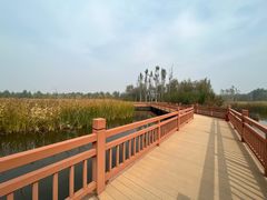 -张家湾公园