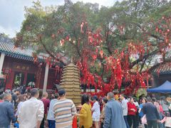 -国恩寺