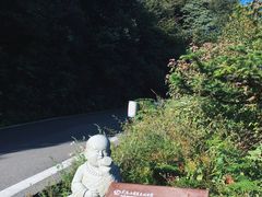 -武陵山森林公园