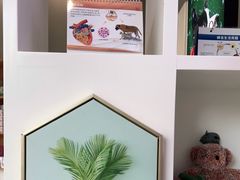 -关爱宠物医院·猫科中心·消化科(滨湖万达分院)