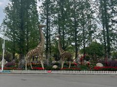 -大连森林动物园