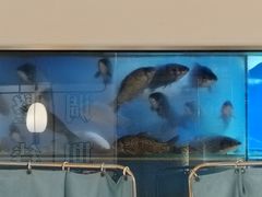 -顺峰顺水顺德菜(第一百货店)