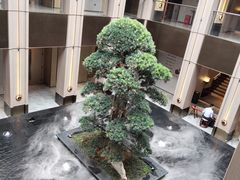 -外滩·云南人家(昆明旗舰店)