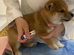 -美联众合动物医院·24h京西诊疗中心