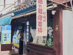 -猫的魔法密林(衣裳街店)