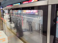 -大望路(地铁站)