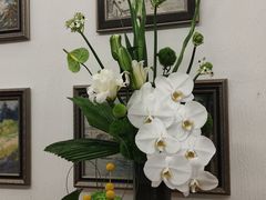 -丽都DELICATESSEN熟食店