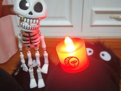 -长藤鬼校(龙翔店)