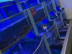 -七欣天香辣蟹火锅(上海银亿滨江店)