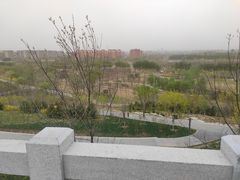 -槐房钓鱼公园