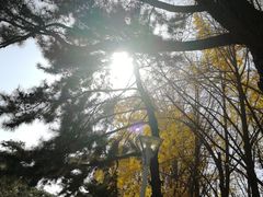 -钓鱼台国宾馆