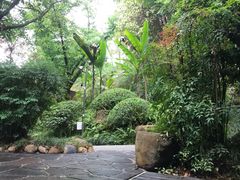 -融汇温泉