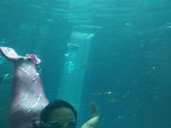 -福州罗源湾海洋世界旅游区