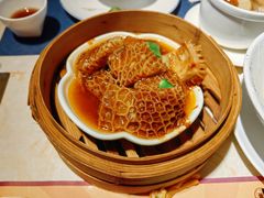-点都德·毕德寮