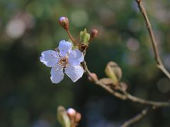 -渤公岛生态公园