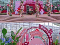 -上海鲜花港