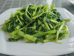 -古尚锦酒楼·水上餐厅