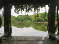 -小洲村