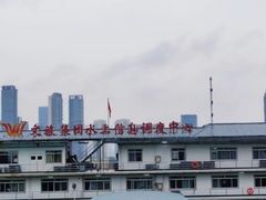 -武汉关码头(轮渡站)