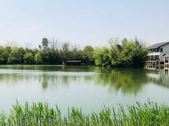 -新荣记(西溪湿地店)