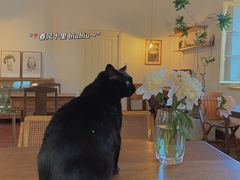 -春风十里咖啡馆