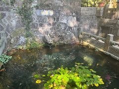 -韬光茶庵
