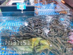 -宝轩渔府·老字号海鲜·正宗津菜(水上店)