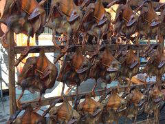 -沙县小吃文化城