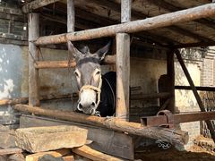 -清风小镇闯关东影视基地