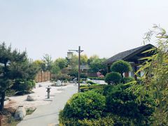 -郑州银基黄帝宫御温泉