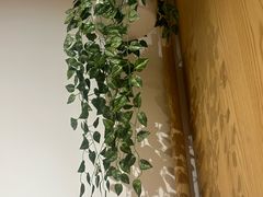 -渝信川菜 · 川味家常菜(财富购物中心店)