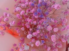 -左庭右院鲜牛肉火锅(苏州园区永旺店)