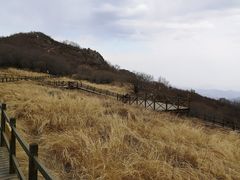 -野三坡百草畔景区