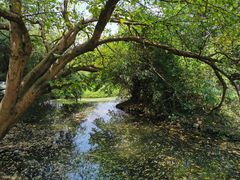 -贵阳市花溪国家城市湿地公园