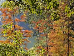 -广州白江湖森林公园