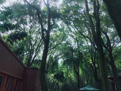 -同里国家湿地公园