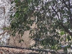 -时光漫步S酒店(成都宽窄巷子店)