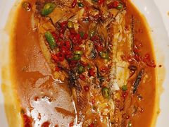 -饭怕鱼·黄焖鲟龙鱼(湖大店)
