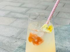 -The Rug Cafe(王府中环店)