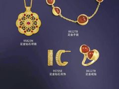 -翠微百货(龙德店)