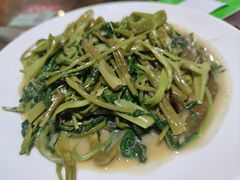 -石岐乳鸽村(南海第三分店)