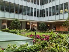 -香港大学